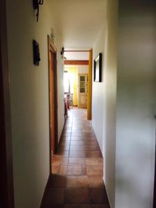 ImagenAltikarra II 7