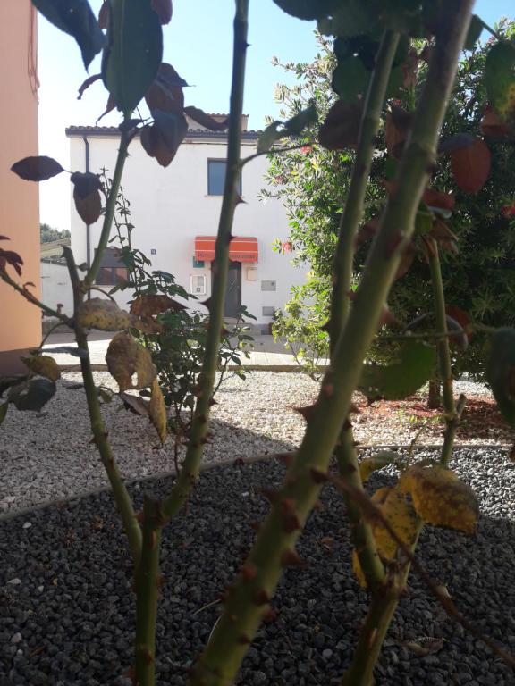 Pensión Matarrañaimagen principal