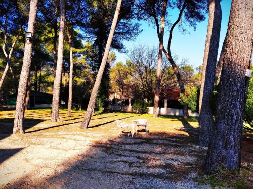 ImagenHotel Rural Bonestar 2