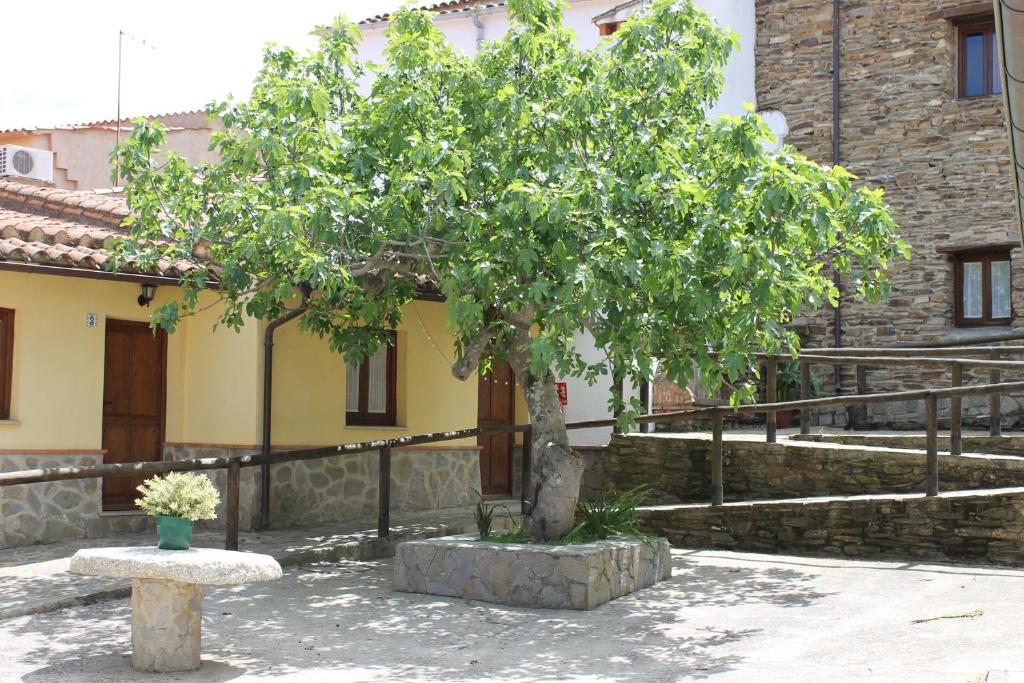 Albergue Turistico La Higueraimagen principal