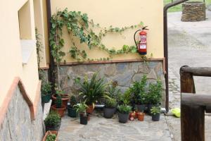 ImagenAlbergue Turistico La Higuera 5