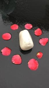 ImagenQuinta La Encarnación 4