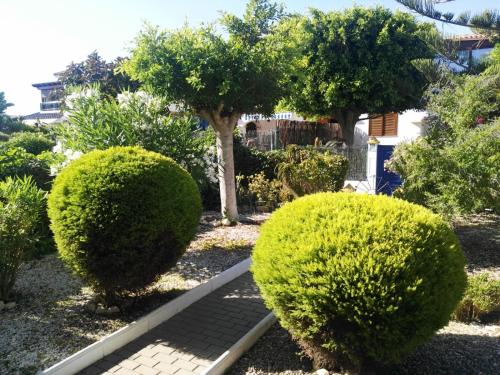 Imagencasa vacacional Veramar 2 Vera Playa 2