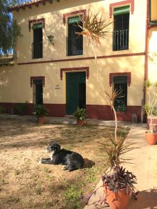 ImagenCasona Villa Paquita - Lujosa Villa de 1913 8