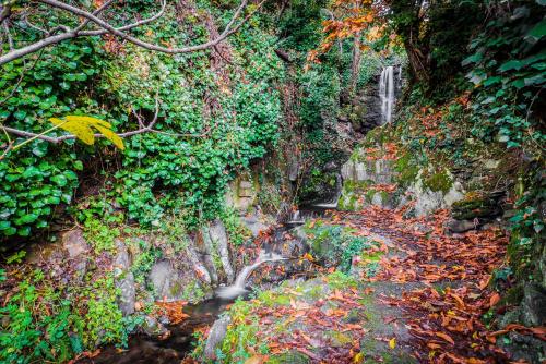ImagenCasa Rural Valle del Arrago 2
