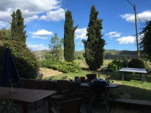 ImagenCeller Colltor 5