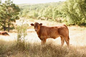 ImagenHostal San Martin 5