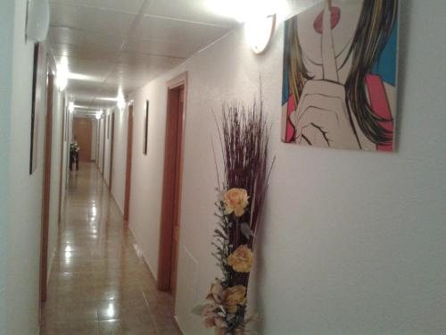 ImagenHostal Arneva Orihuela 2