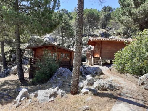 ImagenCamping TajoRodillo 2