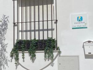 ImagenCasa Abuelo Juan - Benaocaz- 2 dormitorios 5