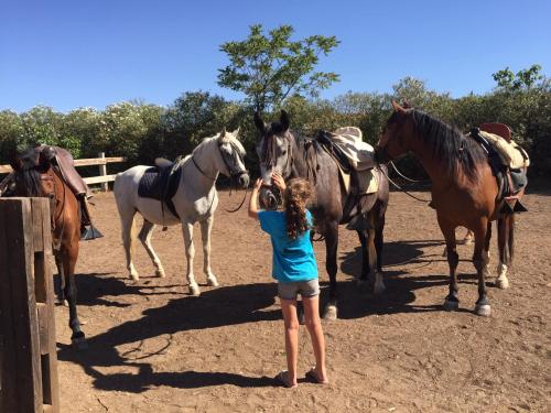 ImagenHotel Rural Finca La Herencia 2