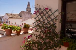 ImagenPenthouse Puerta de la Judería 5