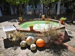 ImagenParador de Guadalupe 5