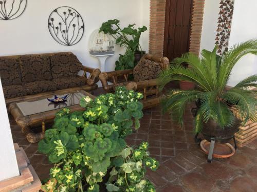 ImagenLa Hacienda del Marquesado 1