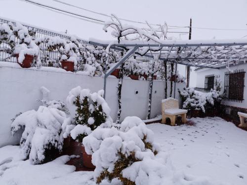 ImagenCueva Tradicional El capricho 2