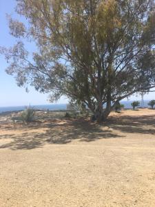 ImagenCasa Rural en Marbella 5