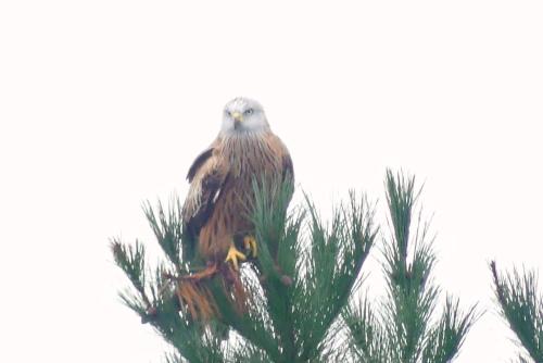ImagenEn la colina 1 Montañealde 1