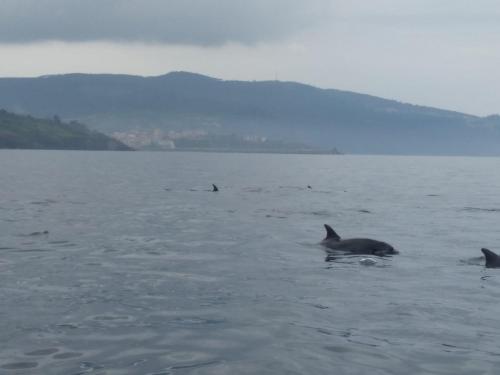 ImagenBermeoko Etxie La casa de Bermeo EBI-795 1