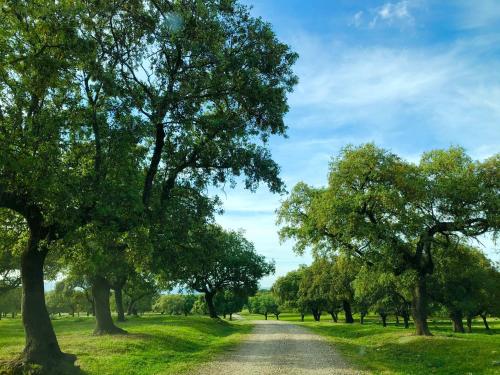 ImagenChozos Las Flores de la Dehesa 1