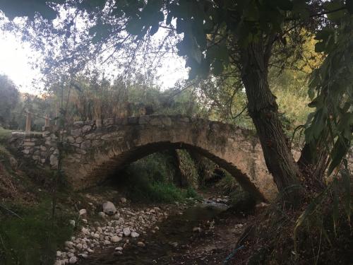 ImagenAPAR. SIERRAGUADALQUIVIR 2