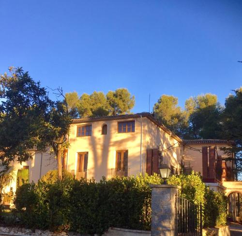 ImagenFinca MICALAS 2