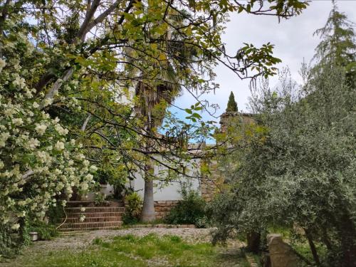 ImagenCasa Palacio el Caballero de Malta 2