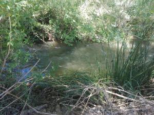 ImagenCasa Rural Los Lilos 8