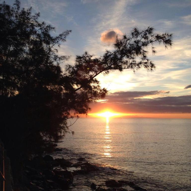 La casa que escucha el marimagen principal