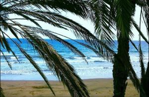 ImagenSun Club Resort 7