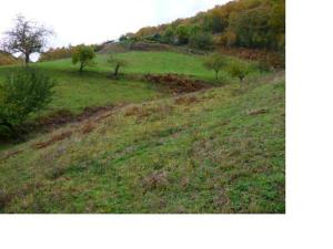 ImagenHotel Peruskenea 6