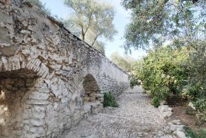 ImagenMolino Jabonero 3