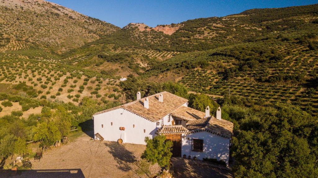 Cortijo Rural Majoleroimagen principal