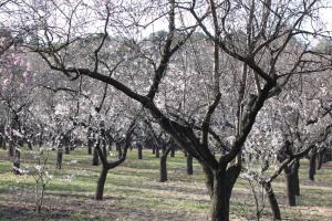 ImagenHostel El Lago, Caceres 6