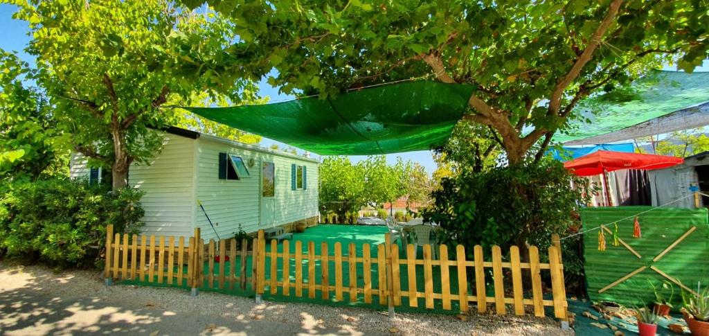 Camping xativaimagen principal