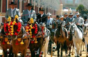 ImagenApartamento wifi plaza del caballo 3