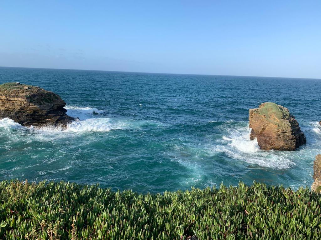 Forever FOZimagen principal