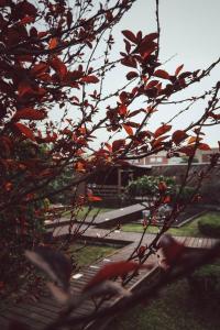 ImagenVilla Paquita Loft 5