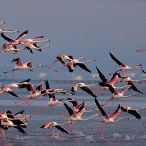 ImagenLa Llar de Laura 4