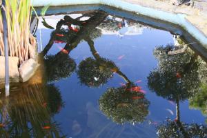 ImagenCasa Rural Delta del Ebro Ecoturismo 6