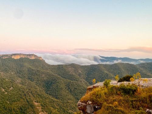 ImagenApartaments Chenin Blanc-Priorat- 2