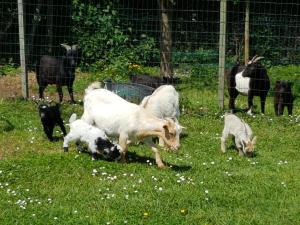 ImagenHotel Alavera 5