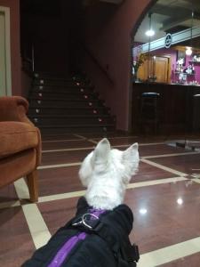 ImagenHotel Ribera del Chicu 4