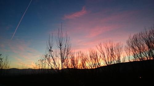 ImagenHostal Buitrago 2