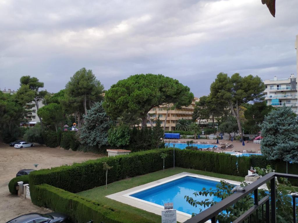 Apatsalou Alohaimagen principal