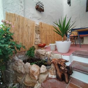 ImagenLa casa azul de Belerda 4