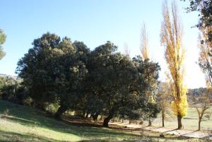 ImagenCASA RURAL DULCE NOMBRE 3