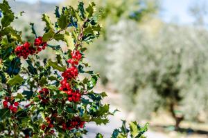 ImagenHotel Rural Los Nogales 4