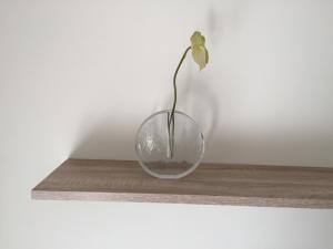 ImagenPISO CÉNTRICO DE 100 M2 4