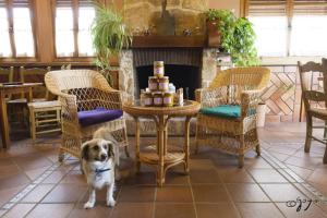 ImagenEl Camino Real 8