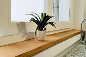 ImagenApartamento de lujo en absoluto centro en Algeciras 1º A 6